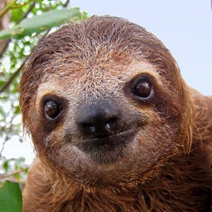 asfdkxshs's profile picture. Big One Direction fan especially @harry_styles