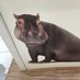@Zio1PZ6puV7vWJ1