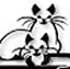 KCSR is a 501(c)3 non-profit, all-volunteer foster network working to rescue shelter animals from euthanasia and find them great homes throughout the Midwest