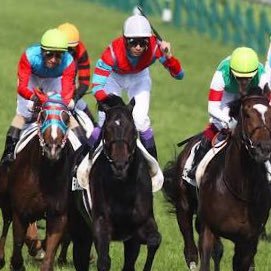 見せムチ Horseracing212 טוויטר