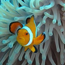 毎日沖縄の事ばっかり考えている🐠一人旅したい🌴     ゆる〜くつぶやきます