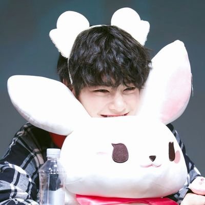 Stray_kids_love's profile picture. 양막여우 심하게 앓아요🏥
 (혐생이라 별로못들어옴)