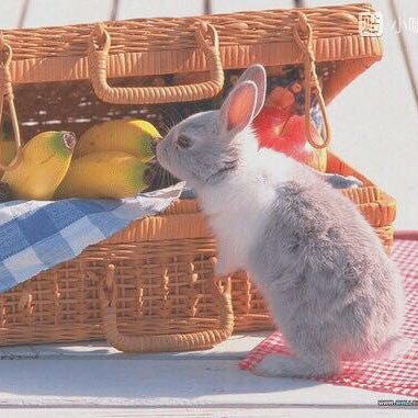 CCatherineKK's profile picture. Miss B day and night.