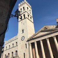 Gabriella Carnio (@carnio70) 's Twitter Profile