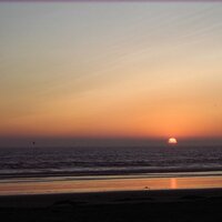 Armalyn De La O (@musicd) 's Twitter Profile