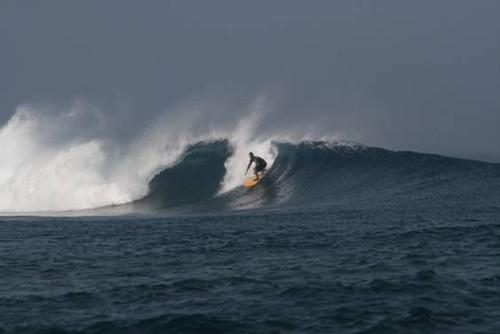 phaseonesurf's profile picture. Phase One Surf Shop /  Local and Online.  We are the Ultimate Surf Shop! 250+ surfboards available, Patagonia Wetsuits, SUP, + more!