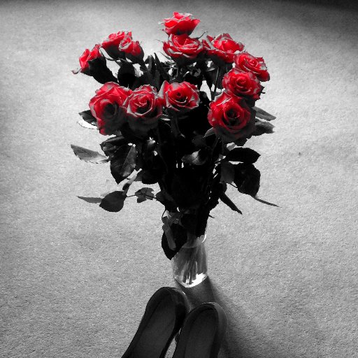 steve_2259's profile picture. 