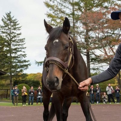 keiba_1234's profile picture. 競馬初心者です☺
とりあえず安かろうが的中させて1年の収支をプラスに💰
情報など少しでもあればいいね！やフォローさせて頂きます✨
悪しからず…🐴