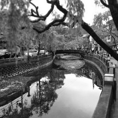 crazykingsora's profile picture. 株歴20年　スキャ専業
デイトレの本当を伝えたい
ちゃんとした金融教育推進派