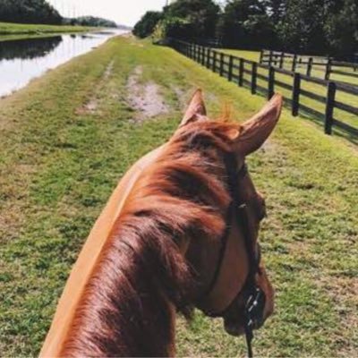 Meme039375716's profile picture. 