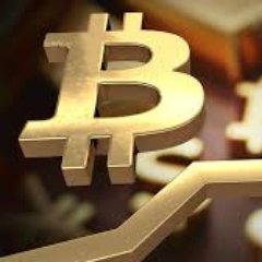 selfbitcoinmino's profile picture. 