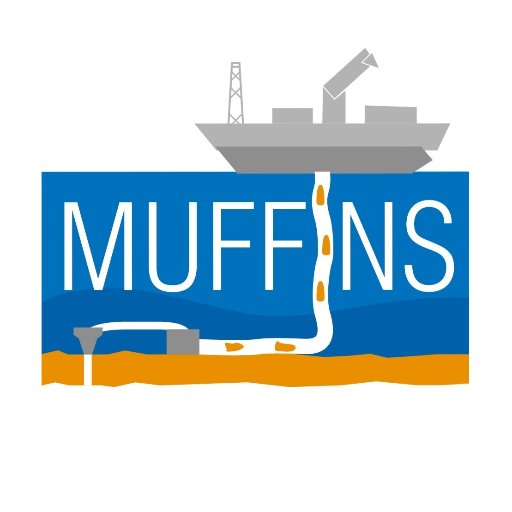 MUFFINS Research