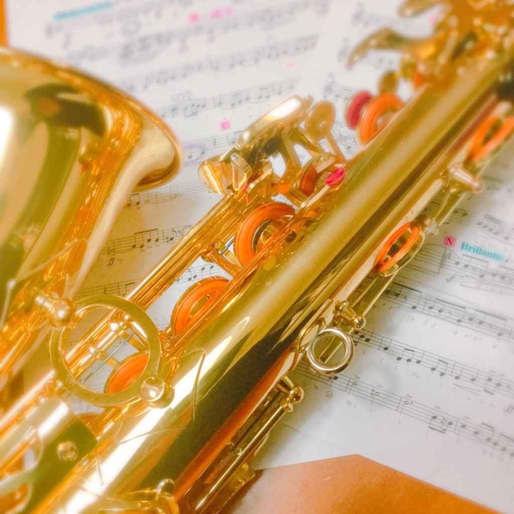 JC3/A.Sax/2年目/パートリーダー/無言フォローすみません🙇‍♀️楽器やってる人中心にフォロバしてきます！  絡んでくれる人好きです！