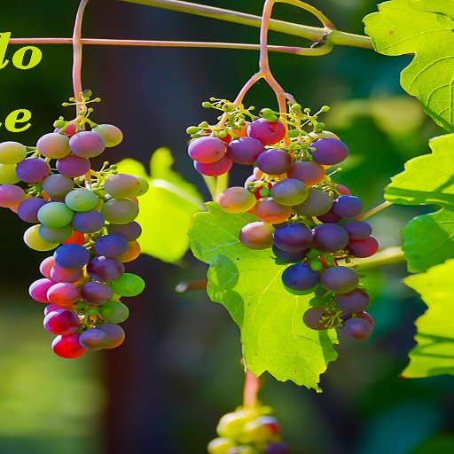 The Pueblo Grapevine is a local community magazine showcasing the stories and businesses of our community.