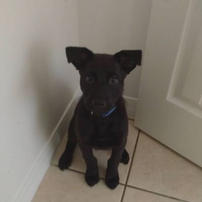 rice_ryley's profile picture. 