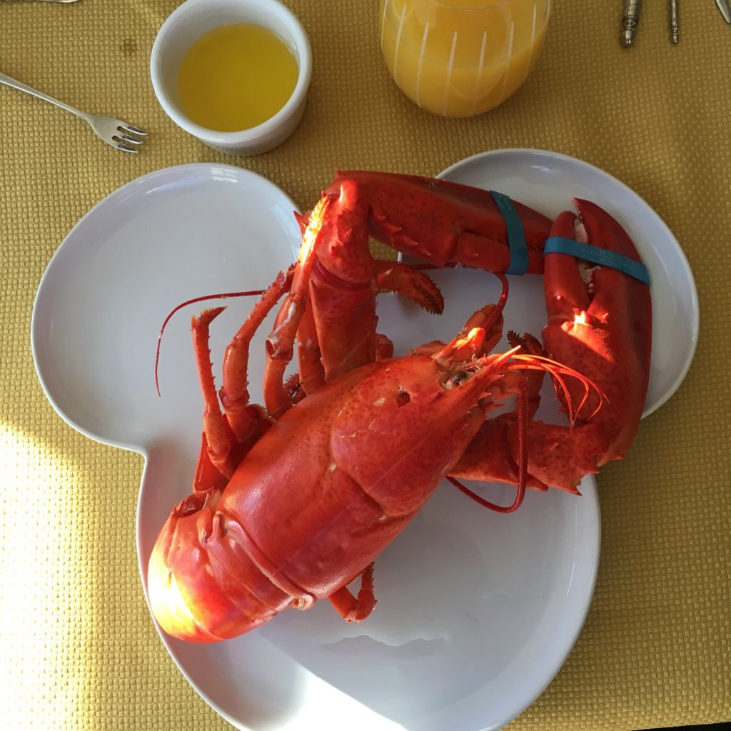 usna92llc's profile picture. Investor, Veteran, 2A Supporter, Constitutionalist, Capitalist