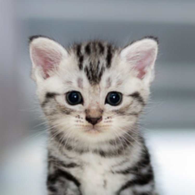 Isabel79941433's profile picture. 