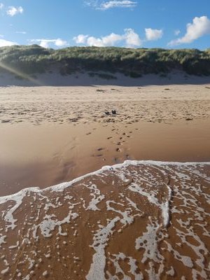 Lmurray1986's profile picture. 