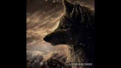 Alpha Wolf Profile