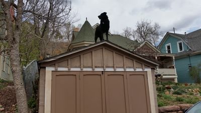 cjt4837's profile picture. 