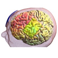 Opitz Lab (@opitz_lab) 's Twitter Profile Photo Opitz Lab (@opitz_lab) 's Twitter Profile Photo