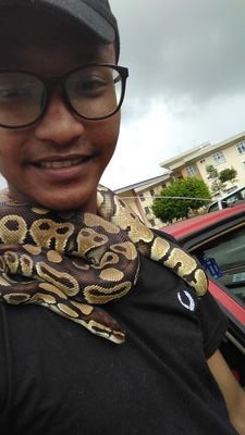 syam_tengku's profile picture. Allah is the best planning