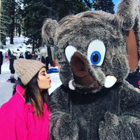 teresa blancarte (@teresaddd) 's Twitter Profile