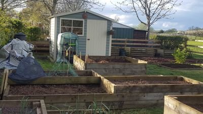 themadaunt's profile picture. Grows it, cooks it, eats it! House renovator #buildingthedream. IBM #B2B #WCE all my own opinions