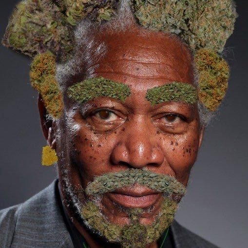 Dopalisciouz's profile picture. 