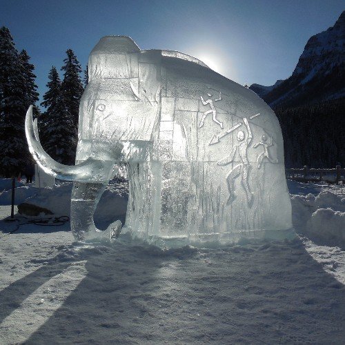 stafosuk's profile picture. Petr Malý
... už více jak půlstoletí tápající, hledající a pochybující.