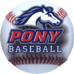 Pony Baseball League Age Chart