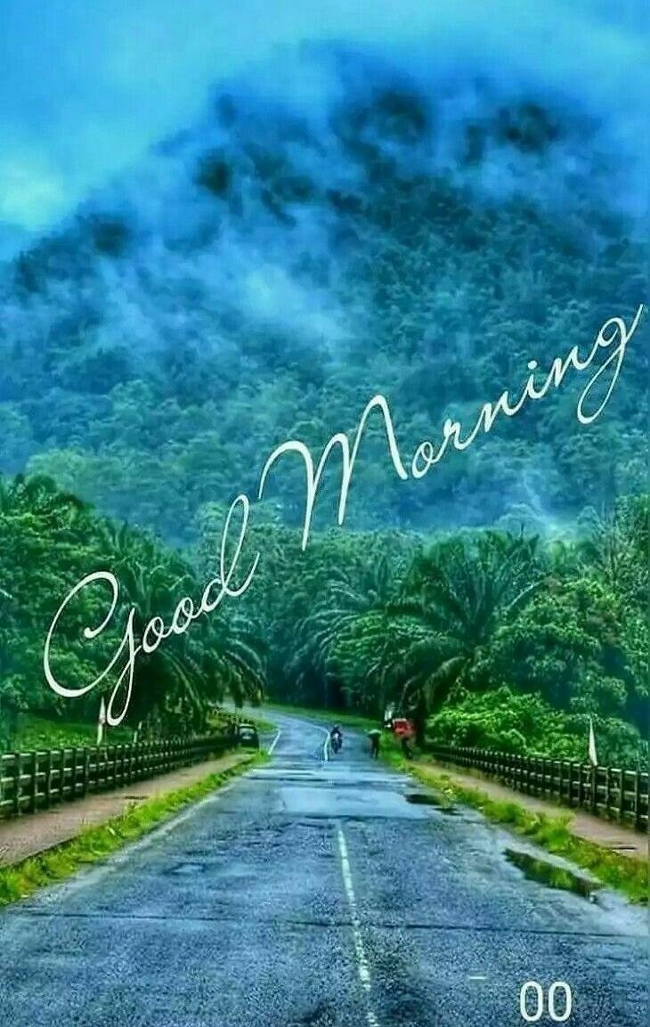 Lachii_Fire's profile picture. 