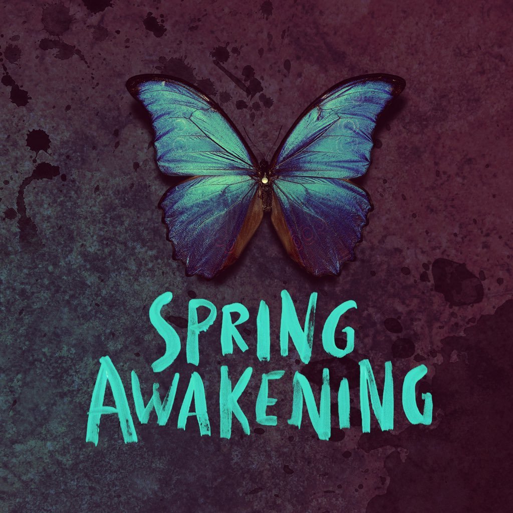 Spring Awakening 🦋 on Twitter: "Our stunning Ilse @TeleriHughes has