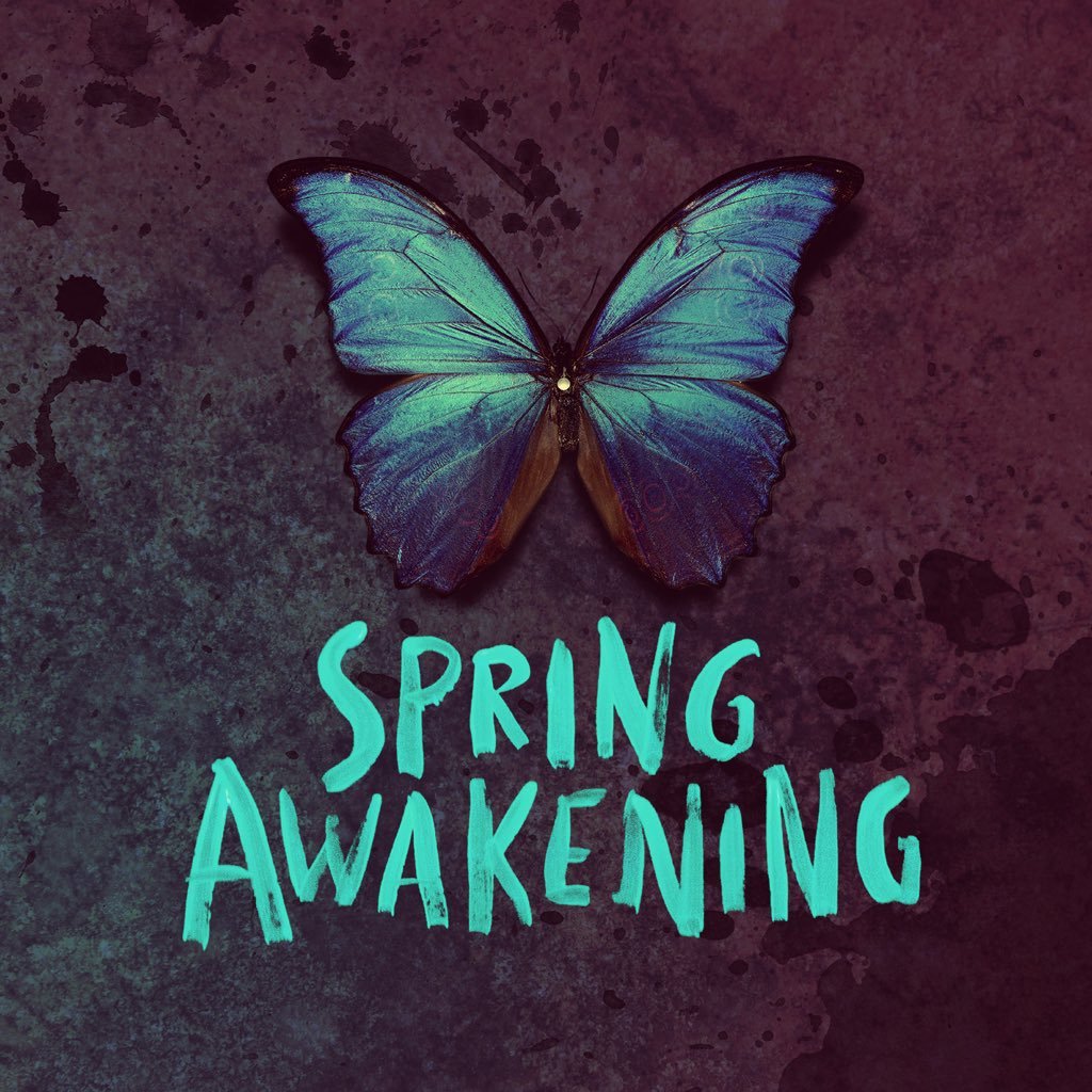 Spring Awakening 🦋