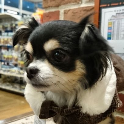 norinori71's profile picture. 