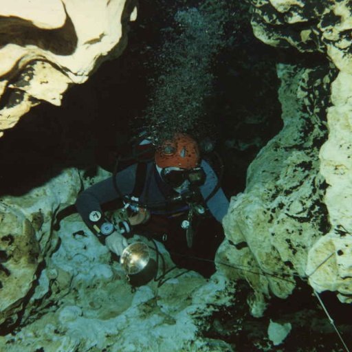 DresdenVideos's profile picture. 