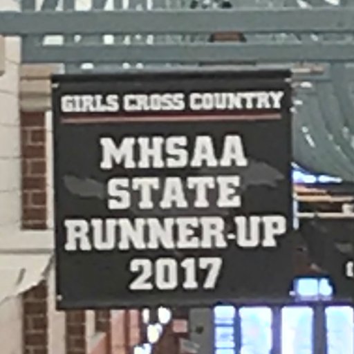 Retired Northville Girls XC  Coach
2013 State Champions, 2017 Runner-Up, 13X Top 10’State Finals ,KLAA 10X Conference Champions 
MITCA President