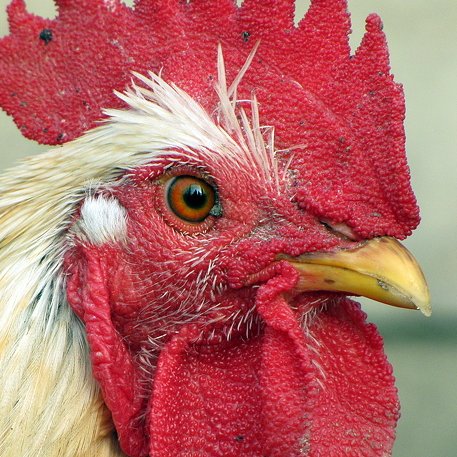 MonicaQuibbits's profile picture. I’m a vitamin bitch