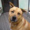 dianne robinson - @dixxky - Twitter