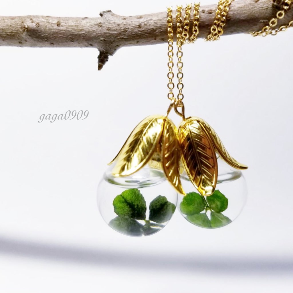 gaga09091's profile picture. 自家製で作ったドライフラワーを使ってハーバリウムアクセサリー、スマホケースを製作しております。 creema→https://t.co/hLmnn1tioD minne→https://t.co/M1mzh8Ggee