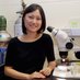 Helen Hou (@helenxhou) Twitter profile photo Helen Hou (@helenxhou) Twitter profile photo