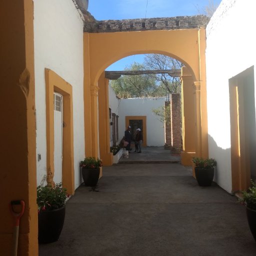 BravoParques's profile picture. 