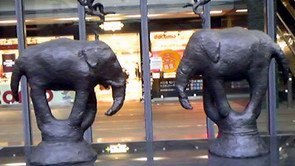 象の森書房という出版社をやっています。本を出したい人のための出版社です。出版プロデューサー、広告プランナー、俳句作家でもあります。