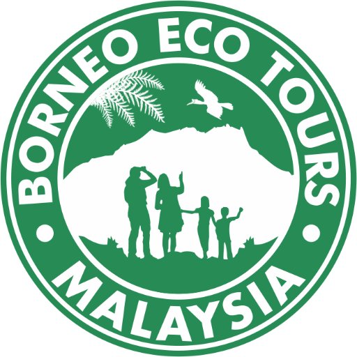 borneoecotours's profile picture. Award winning tour operator championing #sustainability in Malaysian #Borneo, offering a variety of #ecotours