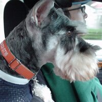 Keith K. YAMAGUCHI (@wingknights) 's Twitter Profile
