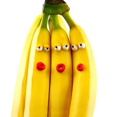 senda_official's profile picture. 四日市→岡大文③ 軽音folk🎤🎸.音楽室.🇰🇭              音楽垢 @Senderfender20