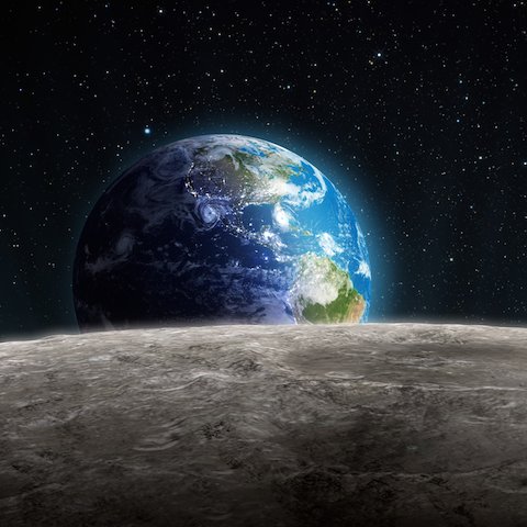 jic_ceo's profile picture. 