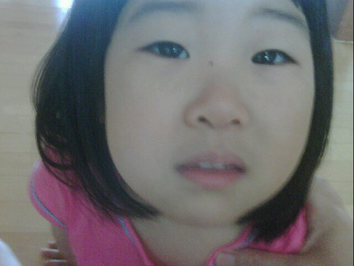 모욕에 관한 세 편의 에세이