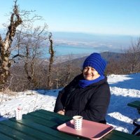 Nezahat Demirhan (@nezahatdemirhan) Twitter profile photo