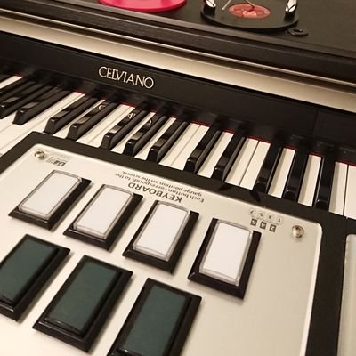 Fest404's profile picture. Arcade lovers, mostly into rhythm arcade.